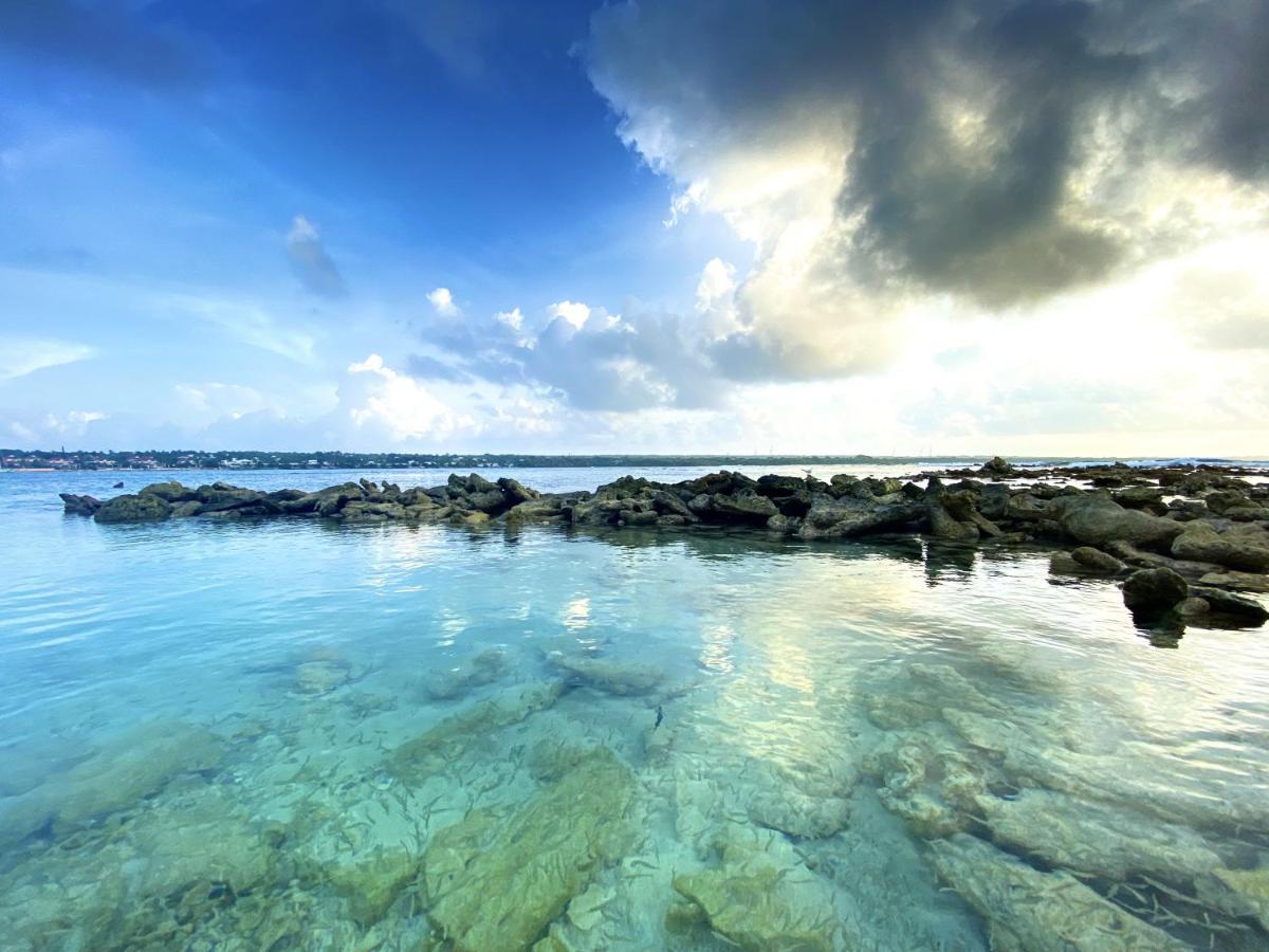 Le Paradis Zen 1Er Etage Et Rdc Vue Plage Et Mer Ste Anne Sainte-Anne  Kültér fotó