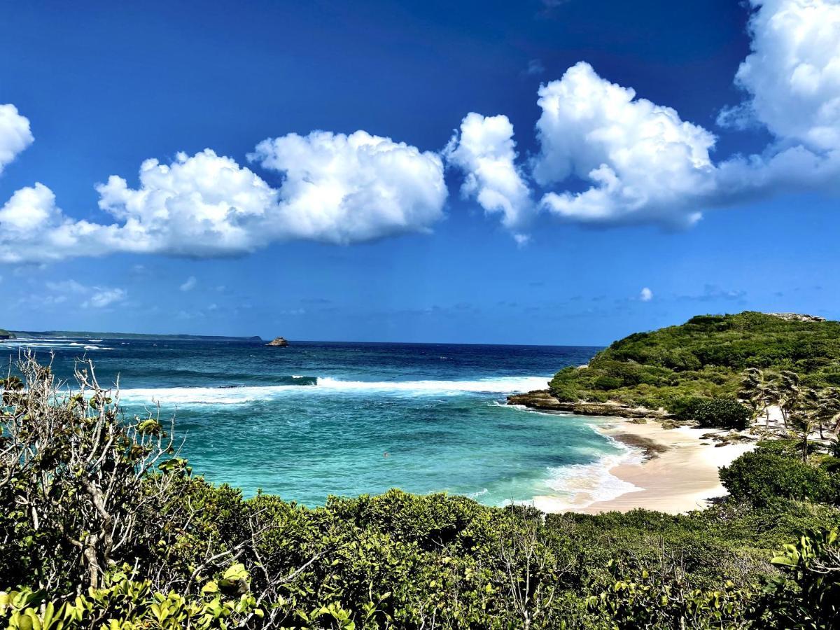 Le Paradis Zen 1Er Etage Et Rdc Vue Plage Et Mer Ste Anne Sainte-Anne  Kültér fotó