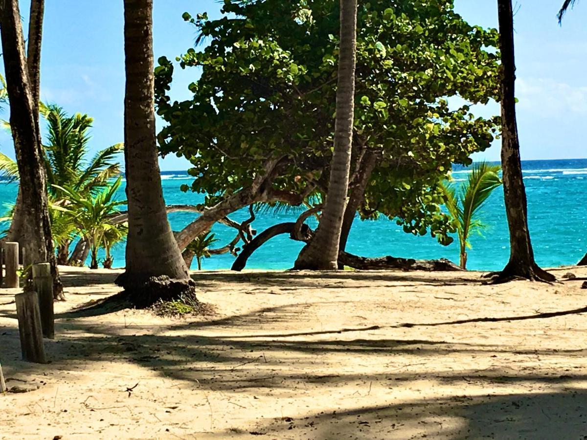 Le Paradis Zen 1Er Etage Et Rdc Vue Plage Et Mer Ste Anne Sainte-Anne  Kültér fotó