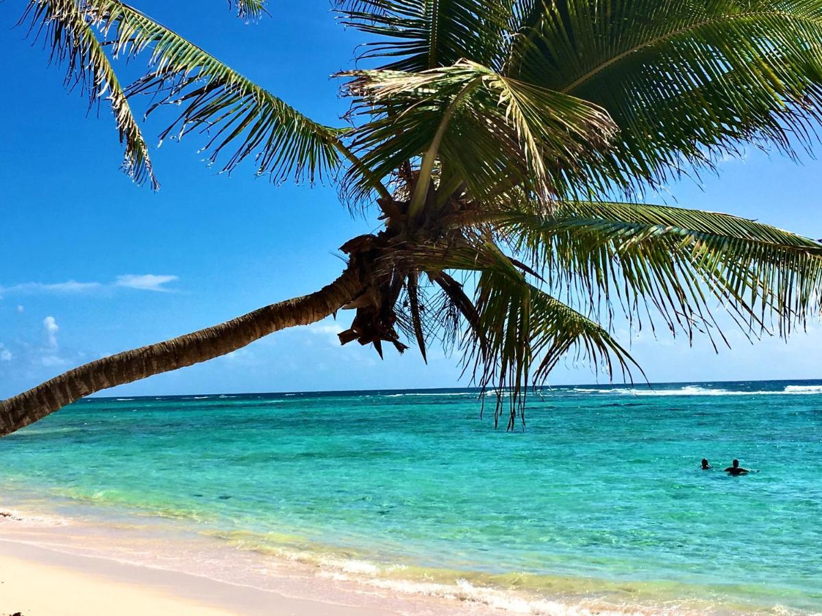 Le Paradis Zen 1Er Etage Et Rdc Vue Plage Et Mer Ste Anne Sainte-Anne  Kültér fotó