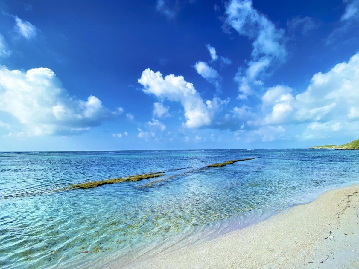 Le Paradis Zen 1Er Etage Et Rdc Vue Plage Et Mer Ste Anne Sainte-Anne  Kültér fotó