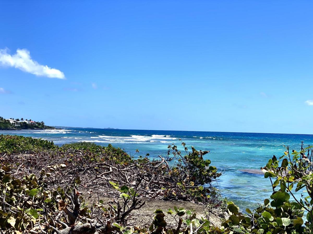 Le Paradis Zen 1Er Etage Et Rdc Vue Plage Et Mer Ste Anne Sainte-Anne  Kültér fotó