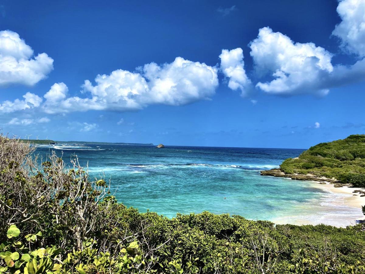 Le Paradis Zen 1Er Etage Et Rdc Vue Plage Et Mer Ste Anne Sainte-Anne  Kültér fotó