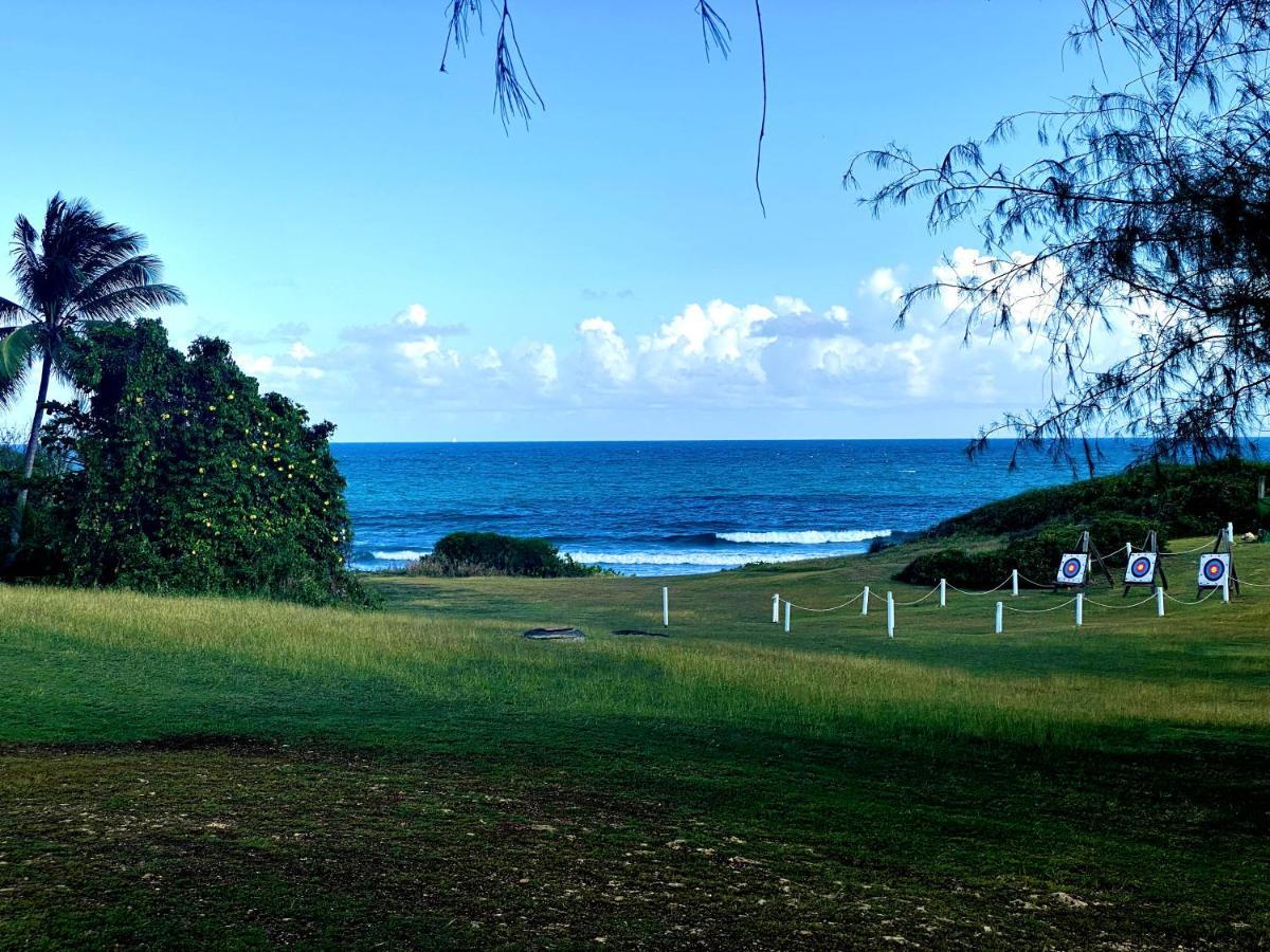 Le Paradis Zen 1Er Etage Et Rdc Vue Plage Et Mer Ste Anne Sainte-Anne  Kültér fotó