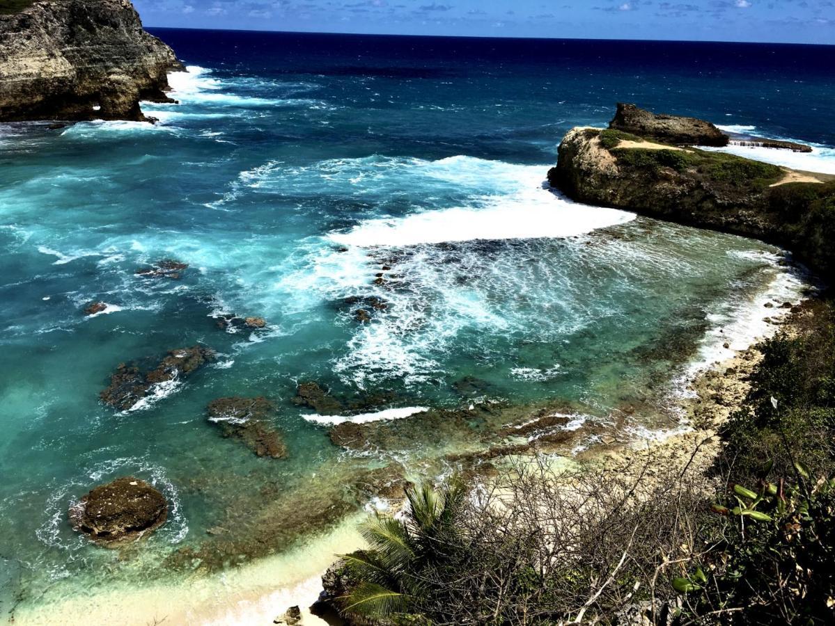 Le Paradis Zen 1Er Etage Et Rdc Vue Plage Et Mer Ste Anne Sainte-Anne  Kültér fotó