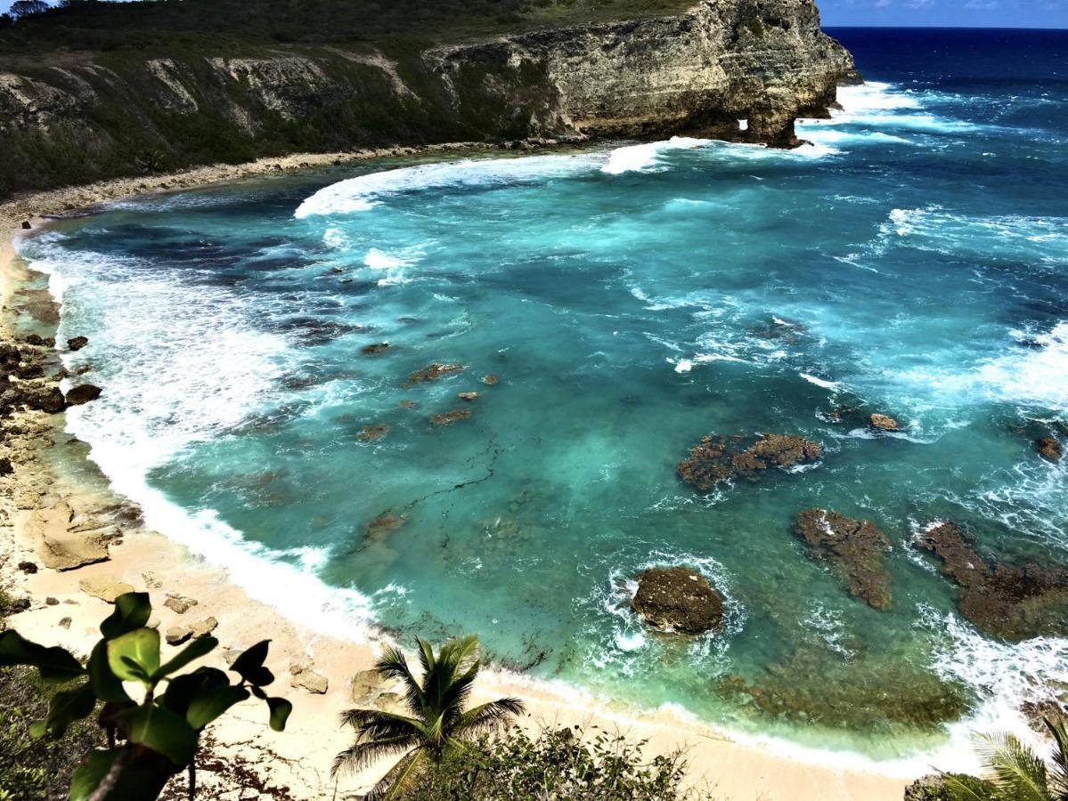 Le Paradis Zen 1Er Etage Et Rdc Vue Plage Et Mer Ste Anne Sainte-Anne  Kültér fotó