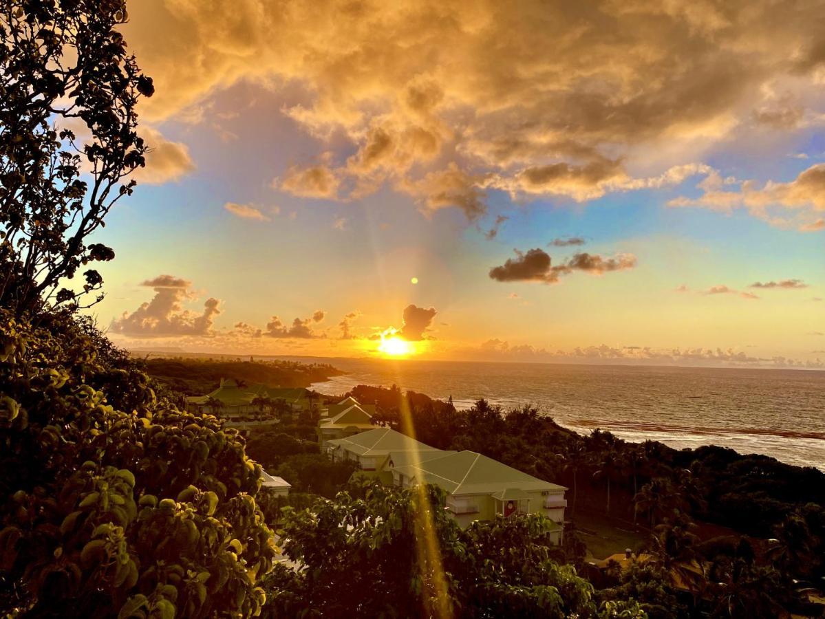 Le Paradis Zen 1Er Etage Et Rdc Vue Plage Et Mer Ste Anne Sainte-Anne  Kültér fotó