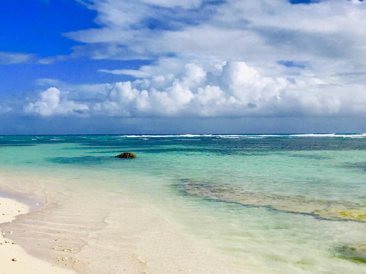 Le Paradis Zen 1Er Etage Et Rdc Vue Plage Et Mer Ste Anne Sainte-Anne  Kültér fotó