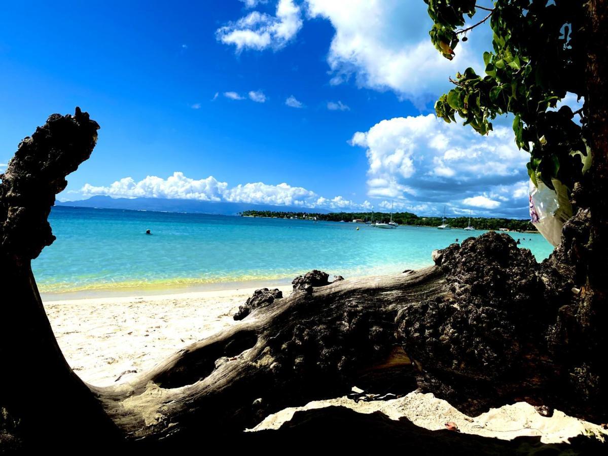 Le Paradis Zen 1Er Etage Et Rdc Vue Plage Et Mer Ste Anne Sainte-Anne  Kültér fotó