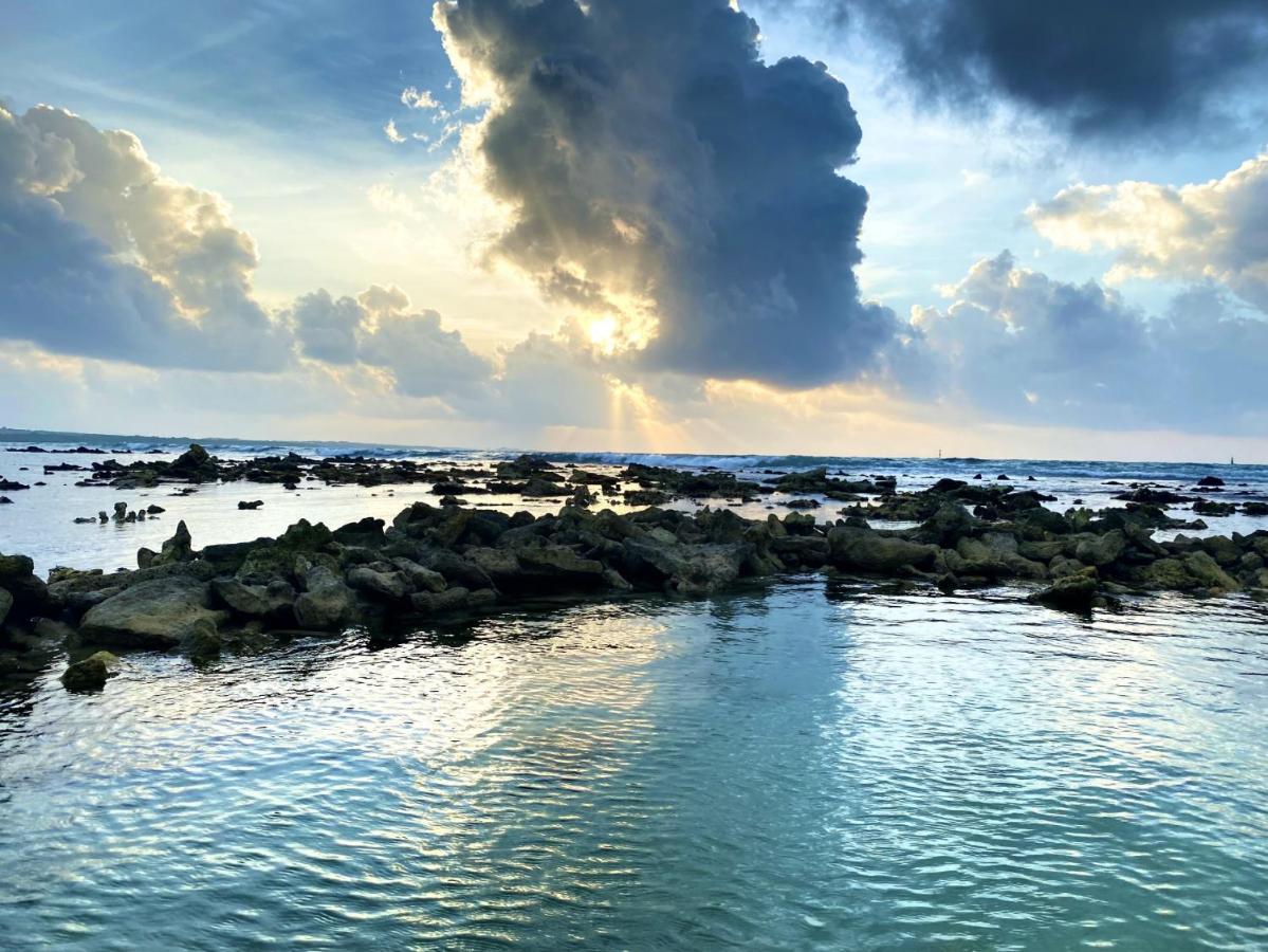 Le Paradis Zen 1Er Etage Et Rdc Vue Plage Et Mer Ste Anne Sainte-Anne  Kültér fotó